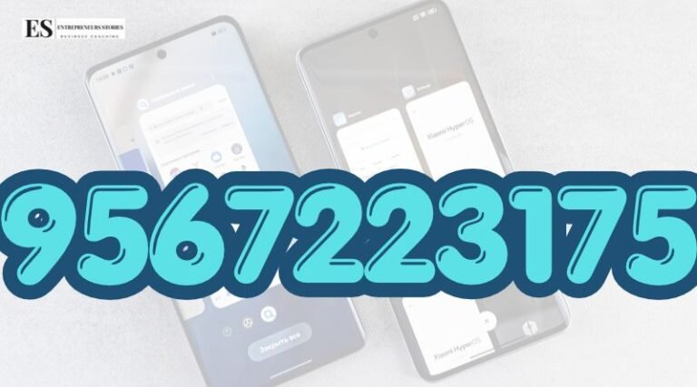 9567223175 (1)