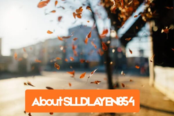 About SLLDLAYEN854