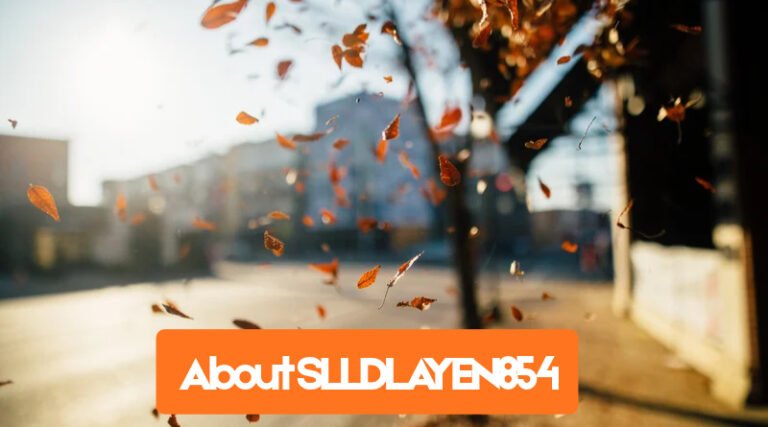 About SLLDLAYEN854